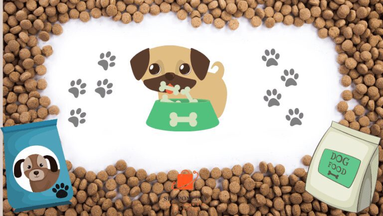 Hoe Hondenvoeding Online Te Vinden En Te Bestellen Vanuit Het Comfort Van Uw Huis 2023