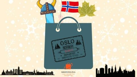 Online Shopping Norway Your Full Guide Shoponlina   Online Shopping Norway  480x271 